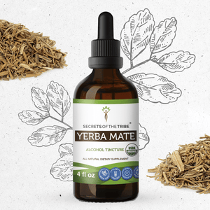 Secrets Of The Tribe Yerba Mate Tincture buy online 