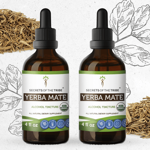 Secrets Of The Tribe Yerba Mate Tincture buy online 