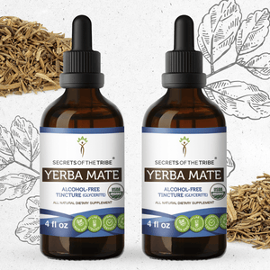 Secrets Of The Tribe Yerba Mate Tincture buy online 