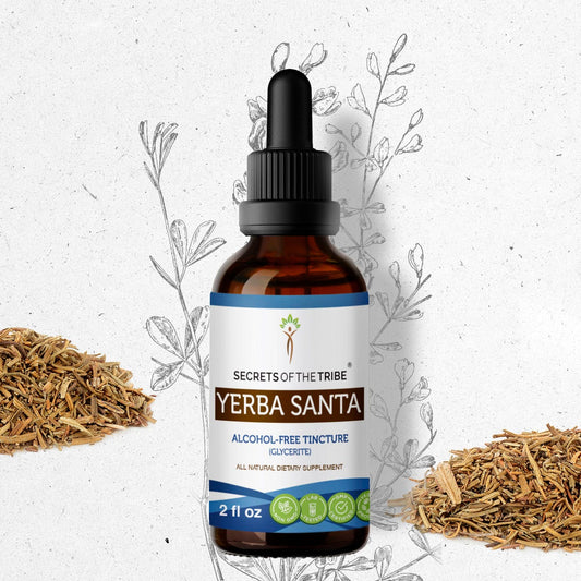 Secrets Of The Tribe Yerba Santa Tincture buy online 