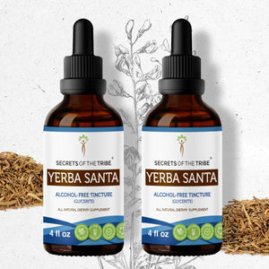 Secrets Of The Tribe Yerba Santa Tincture buy online 