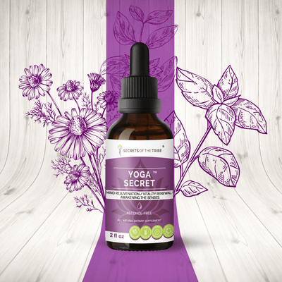 Buy Yoga Secret Extract. Mind Rejuvenation / Vitality Renewal /Awakening the Senses online