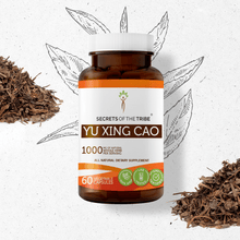 Load image into Gallery viewer, Secrets Of The Tribe Yu Xing Cao Capsules buy online 