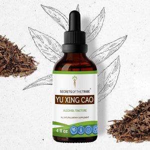 Secrets Of The Tribe Yu Xing Cao Tincture buy online 
